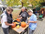 Dynovani_2019 (8)
